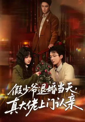 假少爷退婚当天,真大佬上门认亲海报