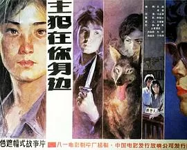 主犯在你身边海报