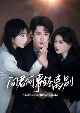 问君何事轻离别海报