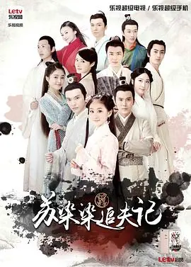 苏染染追夫记海报