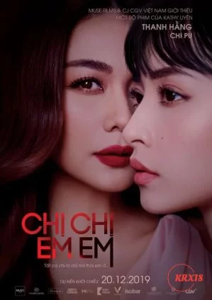 姐姐都是谎言海报