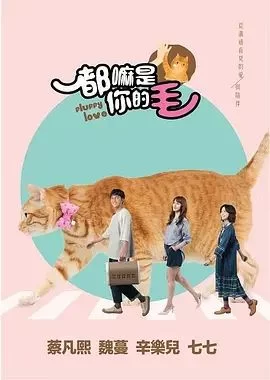 都嘛是你的毛海报