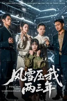 风雪压我两三年海报