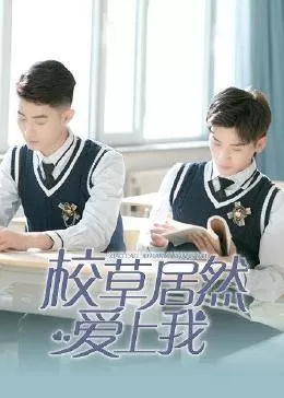 校草居然爱上我海报