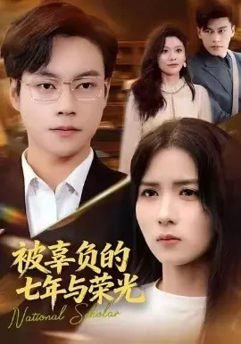 被辜负的七年与荣光海报