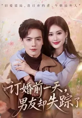 订婚前一天,男友却失踪了海报