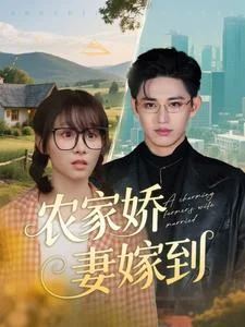 农家娇妻嫁到海报