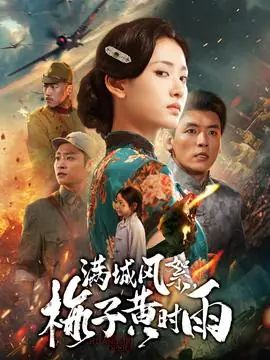 满城风絮梅子黄时雨海报