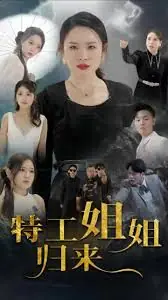 特工姐姐归来海报