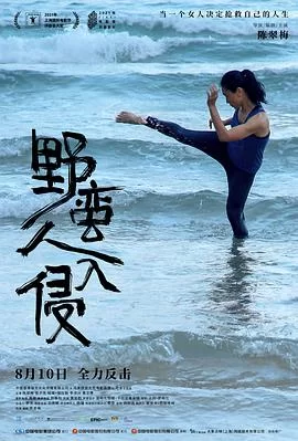 野蛮人入侵[电影解说]海报