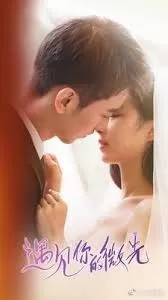 遇见你的微光海报