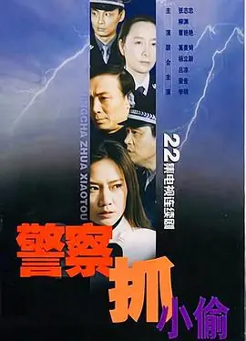 警察抓小偷海报