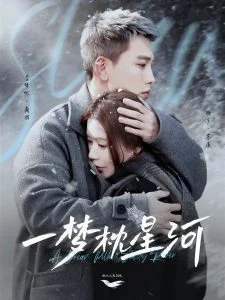 一梦枕星河海报