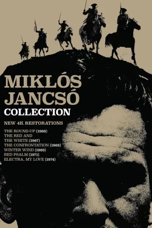 阿拉特·阿兹·奥罗沙兹·多萨海报