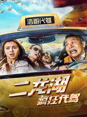 二龙湖疯狂代驾海报