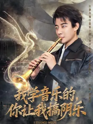 我学音乐的,你让我搞阴乐海报