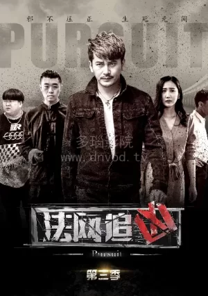 法网追凶第三季海报