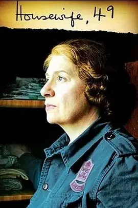 家庭主妇49海报