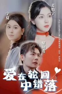 爱在轮回中错落海报