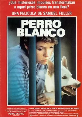 白狗[电影解说]海报