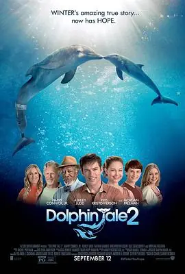 海豚的故事2DolphinTale2海报