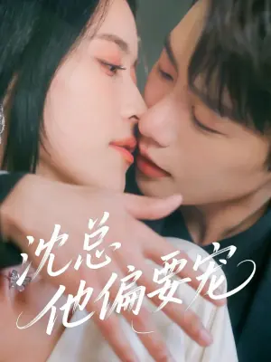 沈总他偏要宠海报