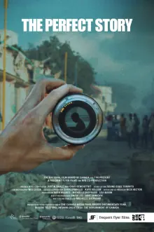 完美的故事海报