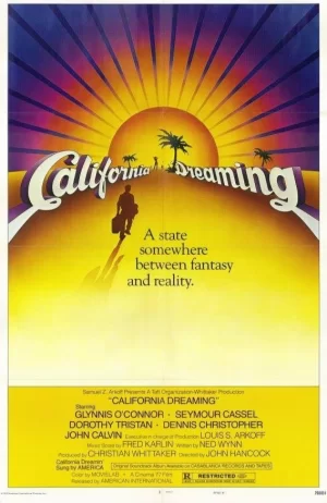加州青春梦海报