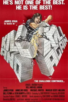 火拼杀人帮海报