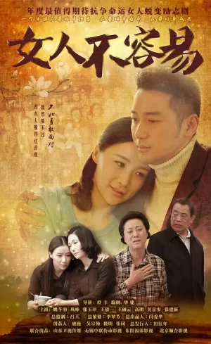 女人不容易海报