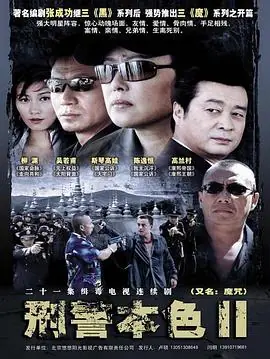 刑警本色2海报