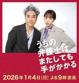 我家的律师又惹麻烦了特别篇海报