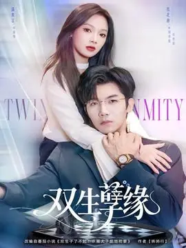双生孽缘海报