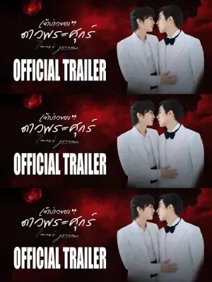 维纳斯的新郎海报