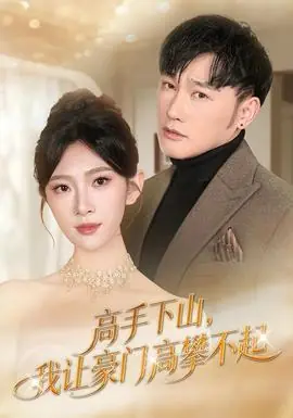 高手下山,我让豪门高攀不起海报