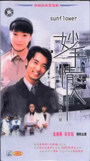 妙手情天(国语)海报