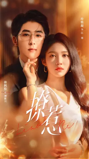 撩惹未删减版海报