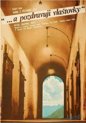 玛茹胥佳的星期五海报