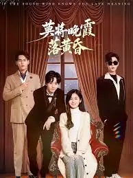 莫将晚霞落黄昏海报