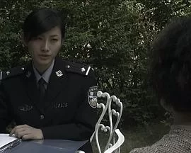 红樱桃之谜海报