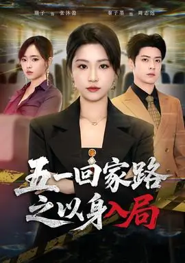 五一回家路之以身入局海报