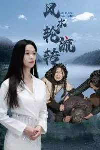 风水轮流转海报