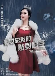 美女总裁的贴身高手海报
