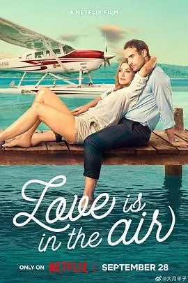 爱在云霄LoveIsintheAir海报