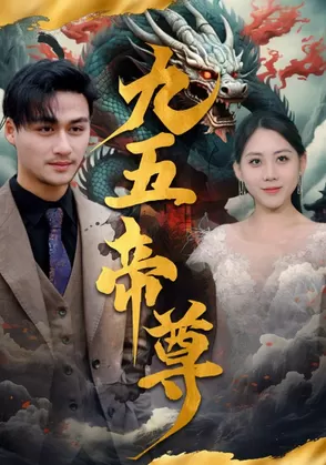 九五至尊海报