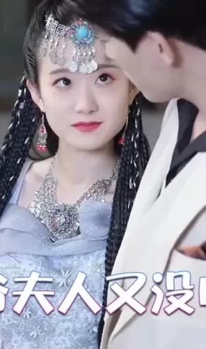 二爷夫人又没电了海报