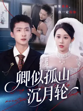 卿似孤山沉月轮海报