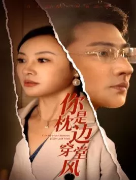 你是枕边穿堂风海报