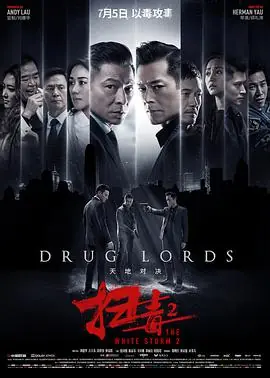 扫毒2天地对决(国语)海报