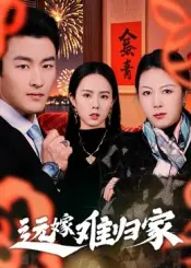 远嫁难归家海报